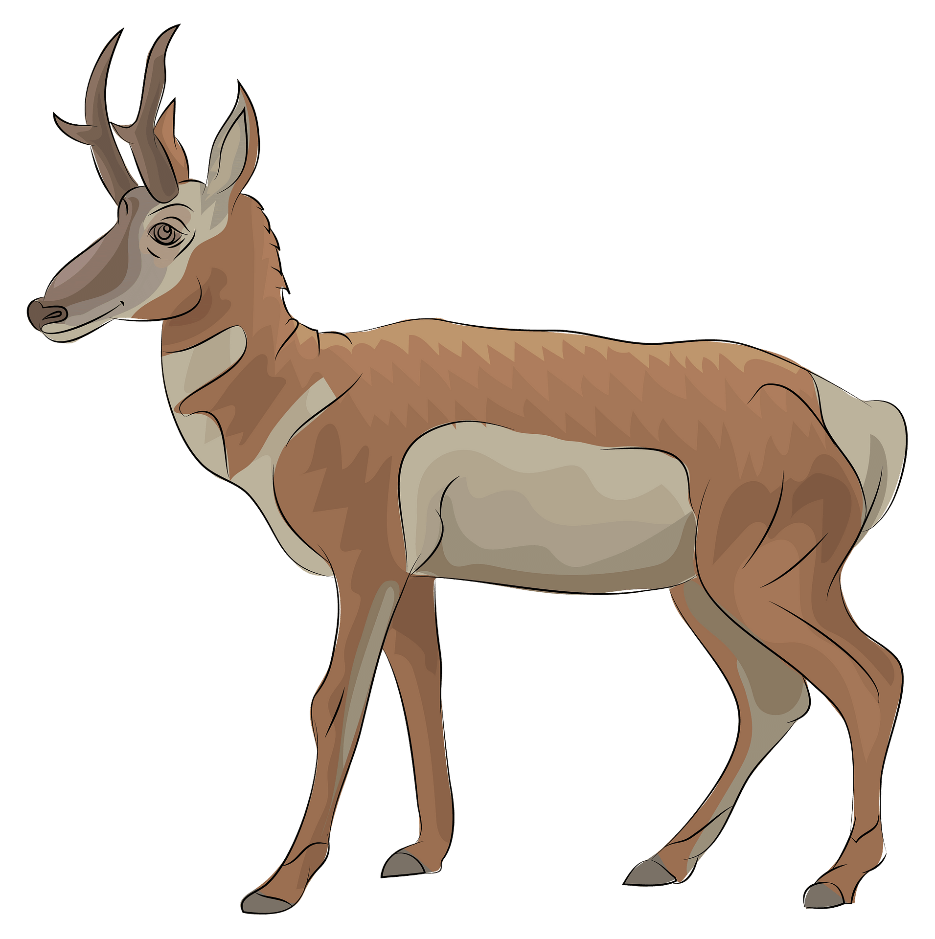 Pronghorn Png Pic (gray, silver)