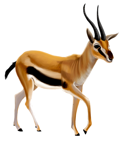 Pronghorn Png (indigo, black)