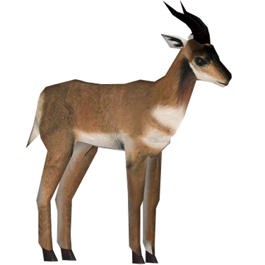 Pronghorn Transparent Png (gray, black)