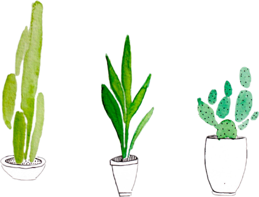 Tropical Cactus Plant Vector Png Image (black, white)