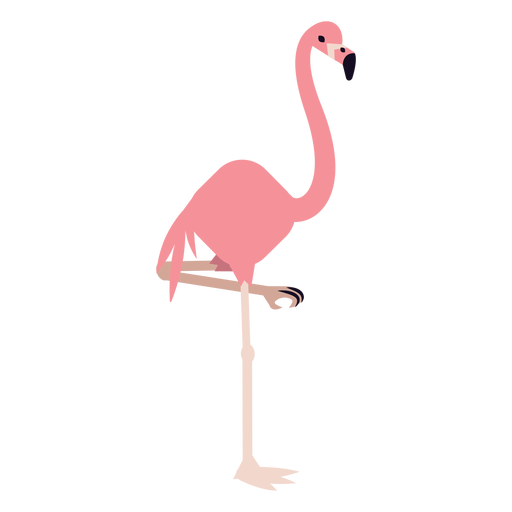 Tropical Flamingo Bird Vector Transparent Png (pink, beige, salmon, black)