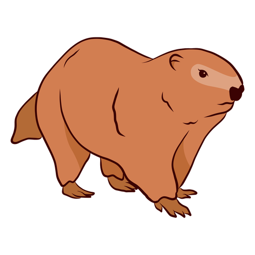 Groundhog Png Clipart (black, chocolate, salmon)