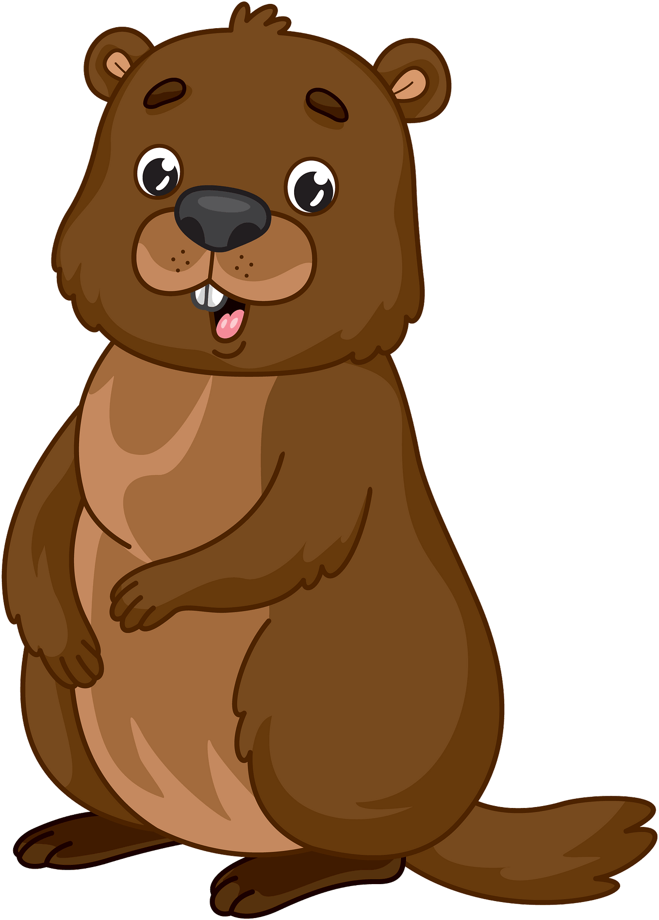 Groundhog Png Hd Isolated (salmon, chocolate, olive, black, maroon)