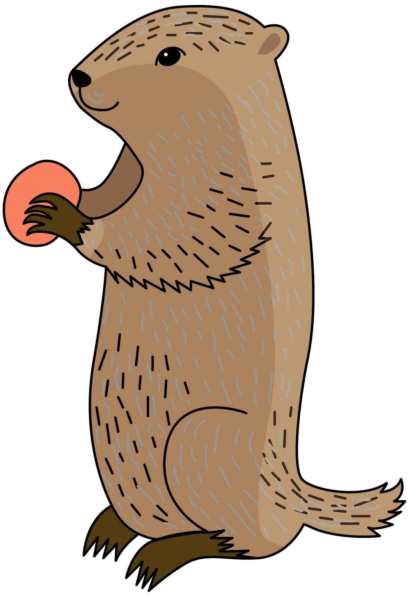 Groundhog Png Isolated Photo (gray)