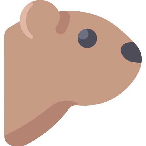 Groundhog Png Pic (salmon, black, gray, silver)