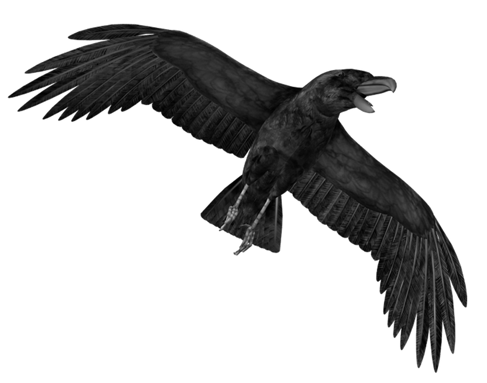 Crow Png Transparent Image (black)