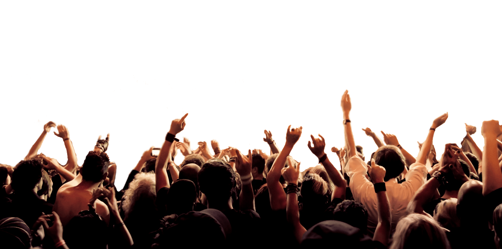 Crowd Png File (black)