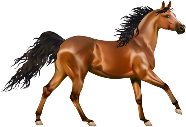 Brown Arabian Horse Png File (black)