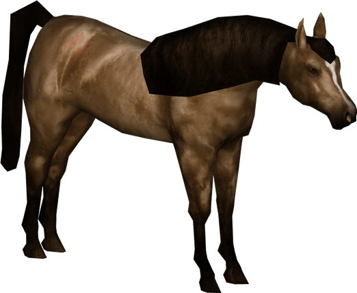 Brown Arabian Horse Png Photos (black)