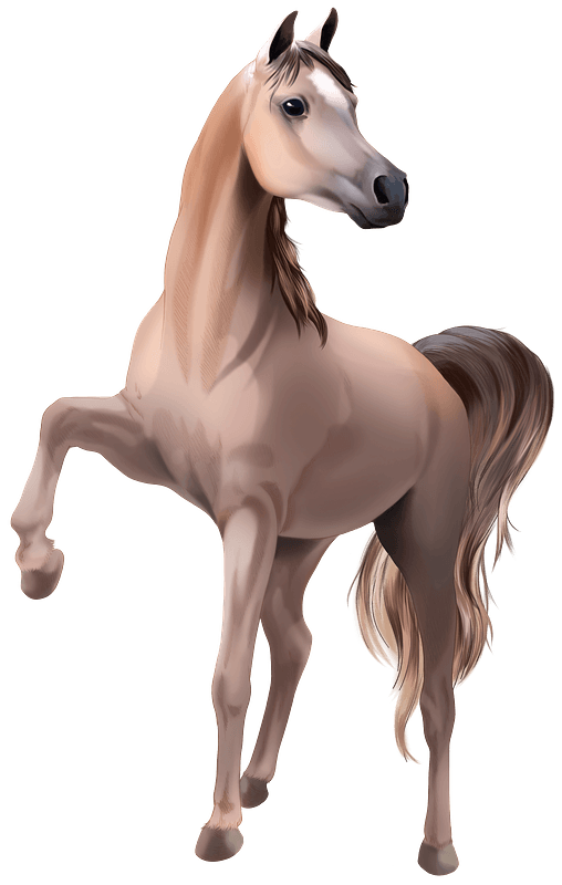 Brown Arabian Horse Png Transparent Image (gray)