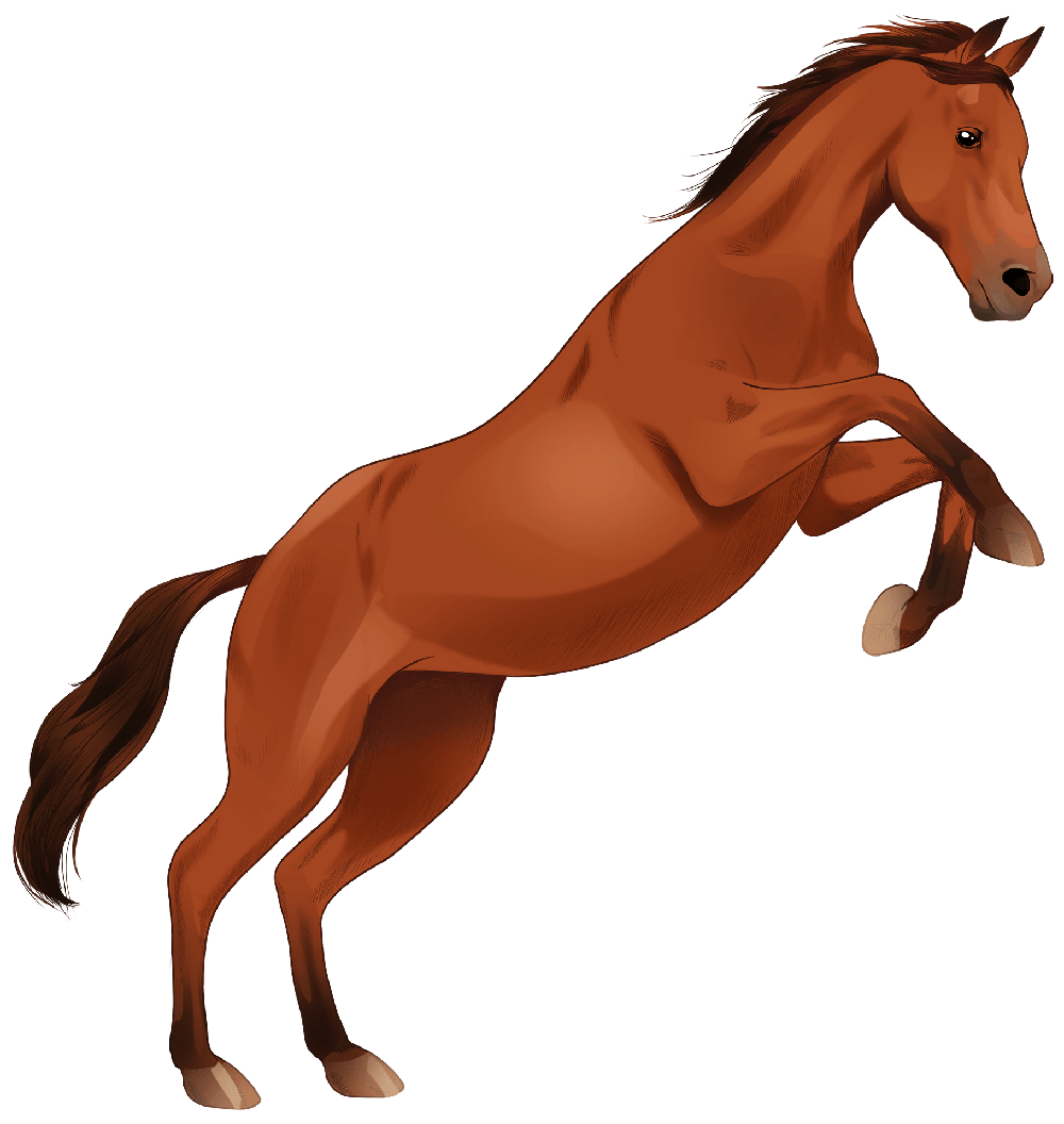 Brown Arabian Horse Transparent Png (gray, chocolate)