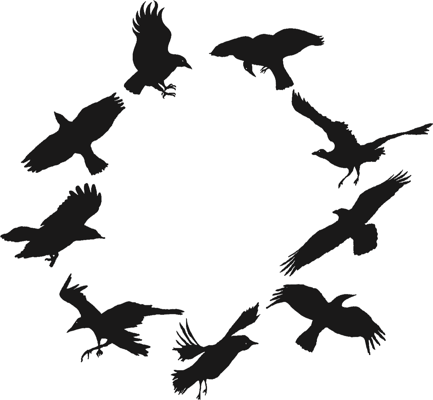 Crows Png Image (black)