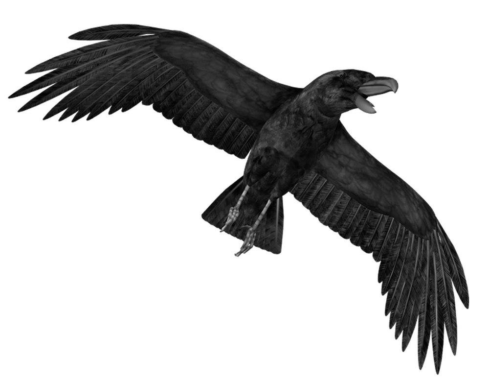 Crows Png Transparent (black, white)