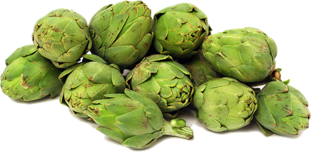 Artichokes Png File (black, gray, olive)