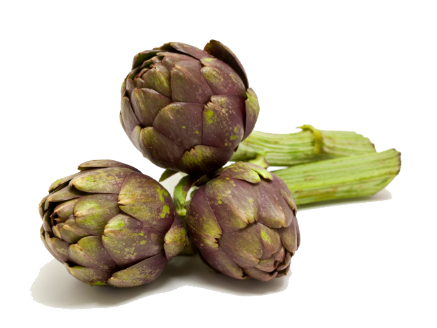 Artichokes Png Free Download (white, silver, gray, olive)