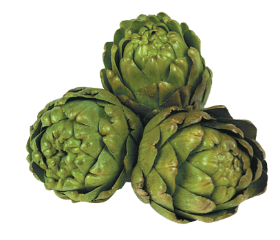 Artichokes Png Hd (white, black, olive)