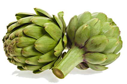 Artichokes Png Photo (beige, black, silver)