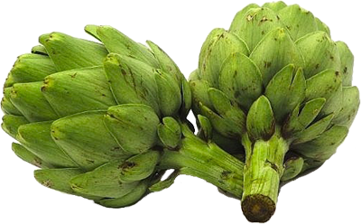 Artichokes Png Pic (white, beige, lavender, gray)