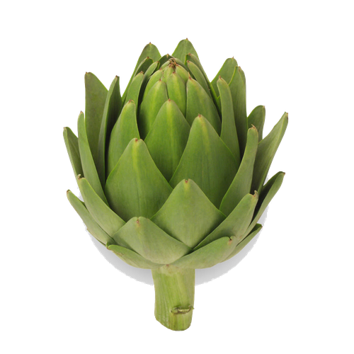 Artichokes Png Picture (lavender, black, silver)