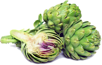 Artichokes Png Transparent Image (beige, black, gray)