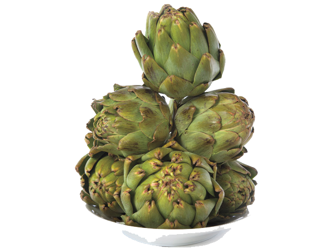 Artichokes Transparent Png (white, gray, olive)