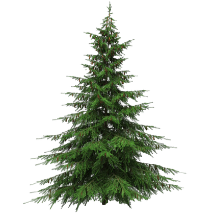 Artificial Christmas Tree Png Transparent Picture (black)