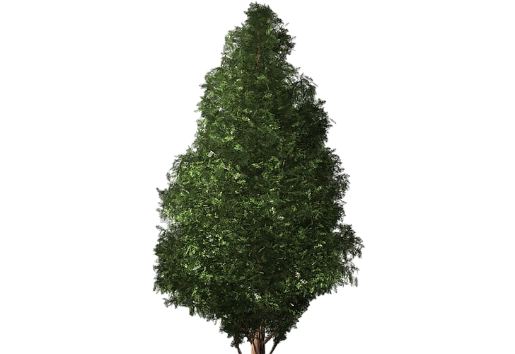 Artificial Christmas Tree Png Transparent (white, green, black)