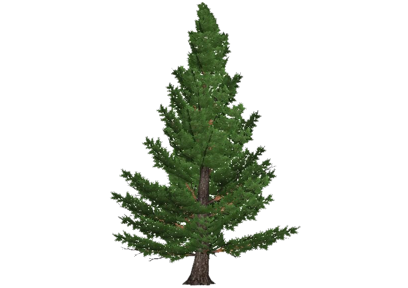 Artificial Christmas Tree Transparent Png (white, black, beige, lavender, green)