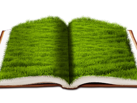 Artificial Grass Book Transparent Png (green, black, olive, white)