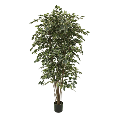 Artificial Tree Png Pic (black)