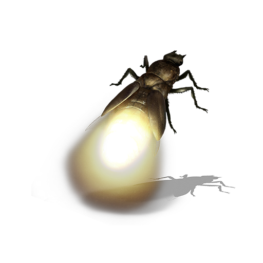 True Bug Png Transparent Image (black, white)