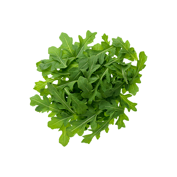 Arugula Png Image (white, beige, black)