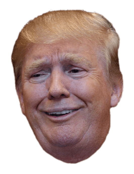 Trump Png Picture (gray)