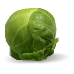 Brussel Sprout Png File (black, indigo)