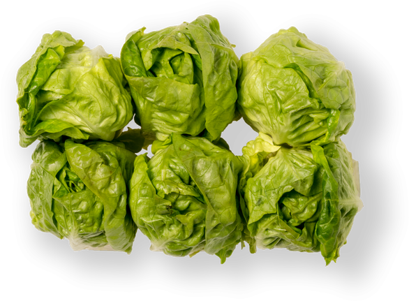 Brussels Sprouts Png File (green, black, olive)