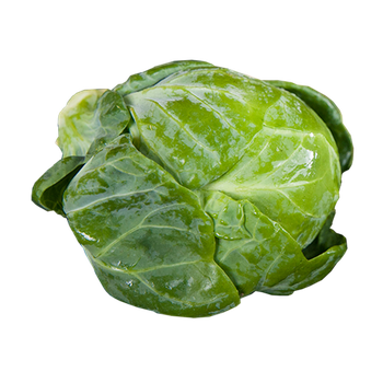 Brussels Sprouts Png Photos (black, gray)