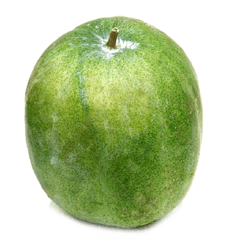 Ash Gourd Png Clipart (gray)