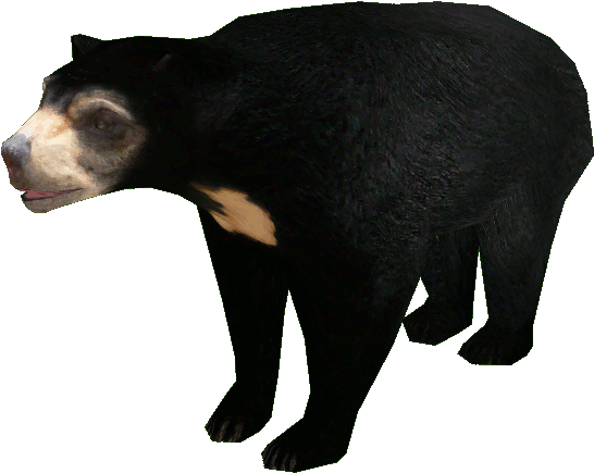 Asian Black Bear Png Clipart (black)