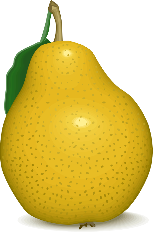 Asian Pear Png Clipart (orange, black)