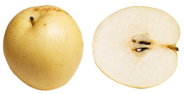 Asian Pear Png Free Download (beige, black)