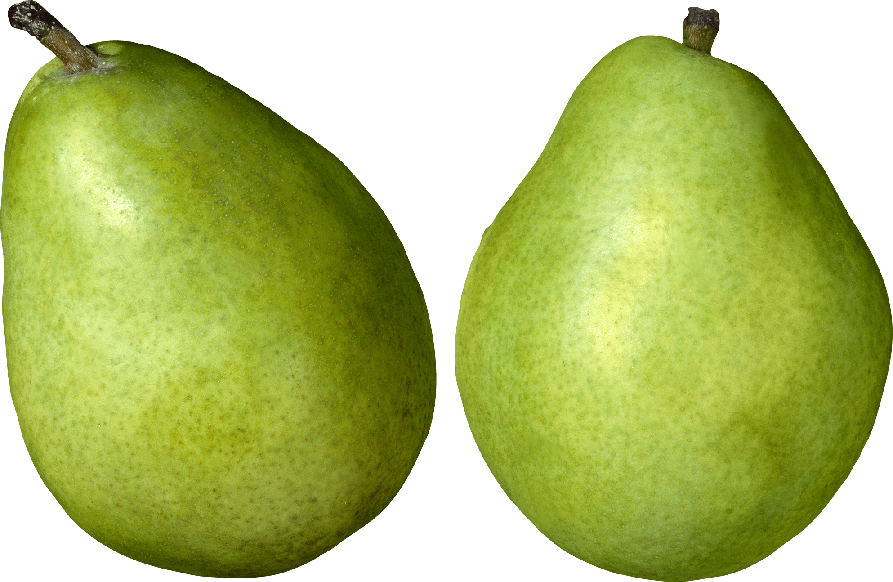 Asian Pear Png Photos (green, silver, black, olive)