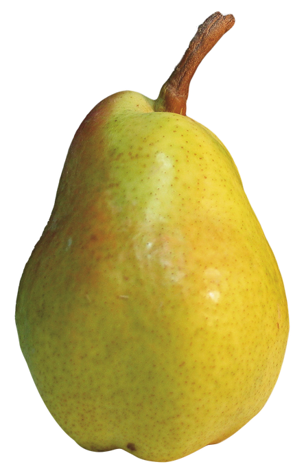 Asian Pear Png Pic (black, olive)