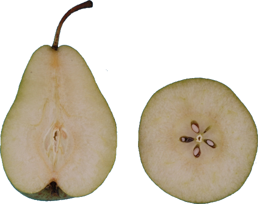 Asian Pear Png Transparent Hd Photo (black, gray, silver)