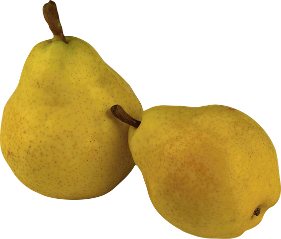 Asian Pear Png Transparent Picture (black, chocolate)