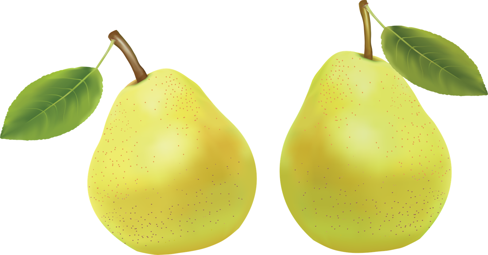 Asian Pear Transparent Png (gold, black, chocolate, silver)