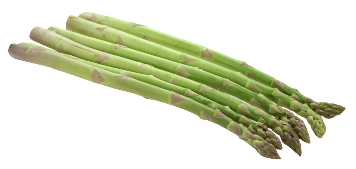 Asparagus Bundle Png Clipart (gray)