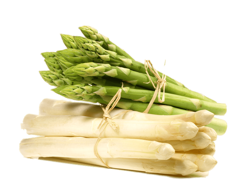 Asparagus Bundle Png File (beige, gray)