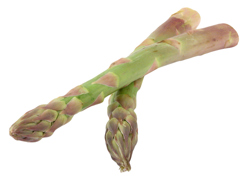 Asparagus Bundle Png Free Download (black, gray)