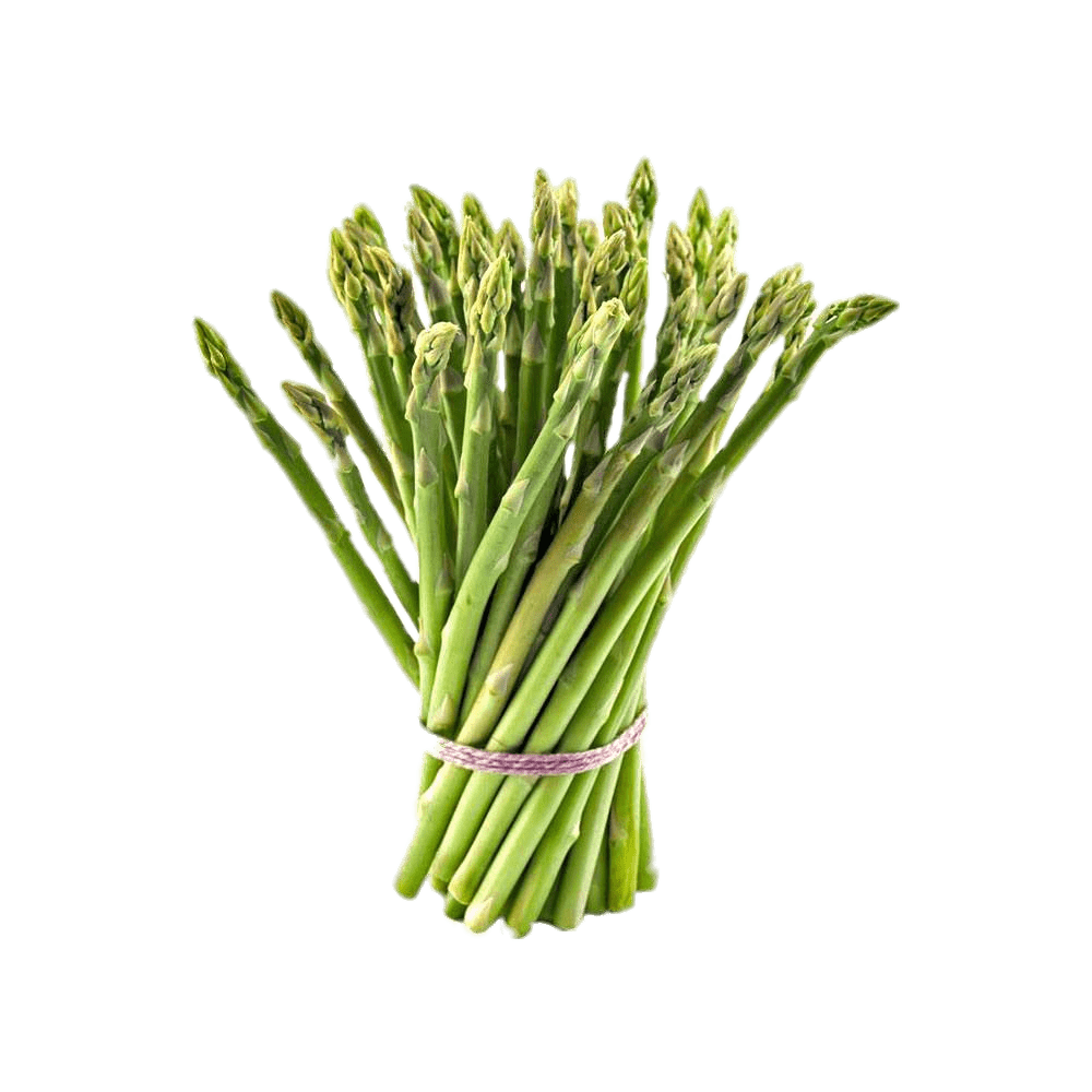 Asparagus Bundle Png Image (gray)