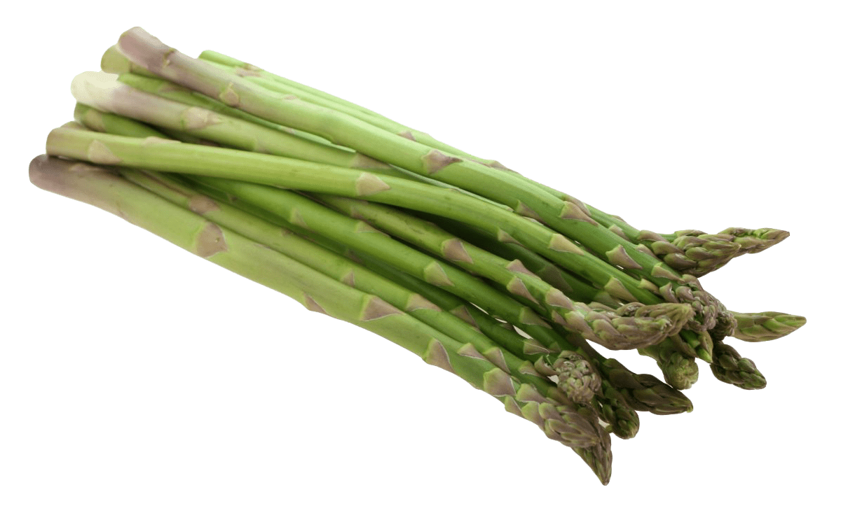 Asparagus Bundle Png Transparent Image (gray)